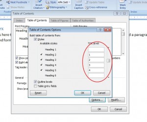 Editing how the heading levels are displayed in the Table of Contents via the Options button