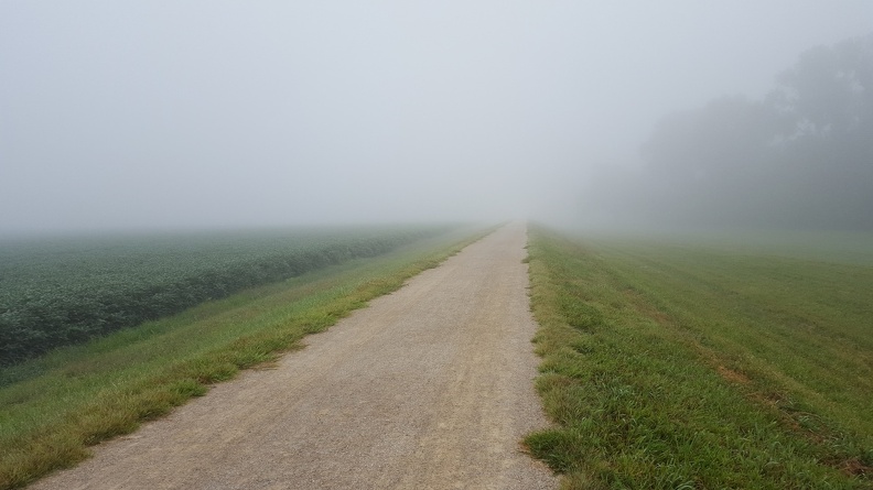 Foggy Morning Bike Ride