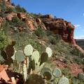 Fay Canyon Hike