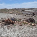 Petrified Forest & Painted Desert