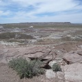 Petrified Forest & Painted Desert