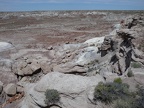 Petrified Forest & Painted Desert