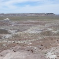 Petrified Forest & Painted Desert