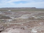 Petrified Forest & Painted Desert