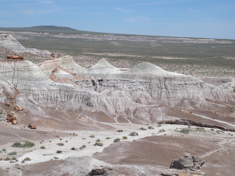 Petrified Forest & Painted Desert