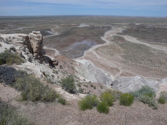 Petrified Forest & Painted Desert