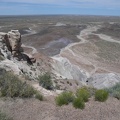 Petrified Forest & Painted Desert