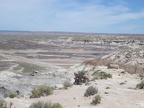 Petrified Forest & Painted Desert