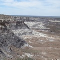 Petrified Forest & Painted Desert