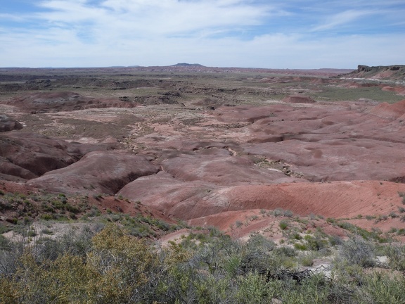 Petrified Forest & Painted Desert