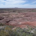 Petrified Forest & Painted Desert