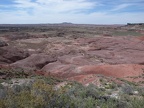 Petrified Forest & Painted Desert