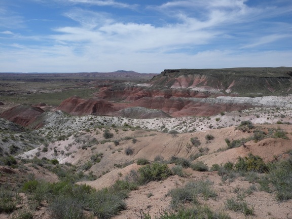 Petrified Forest & Painted Desert