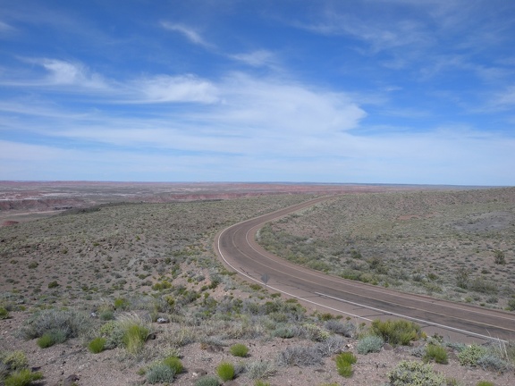 Petrified Forest & Painted Desert