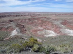 Petrified Forest & Painted Desert