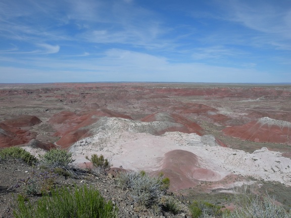 Petrified Forest & Painted Desert