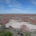 Petrified Forest & Painted Desert
