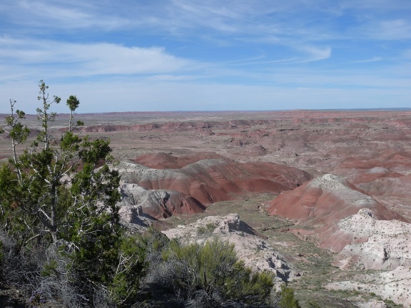 Petrified Forest & Painted Desert