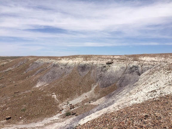 Petrified Forest & Painted Desert