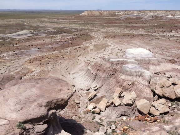 Petrified Forest & Painted Desert