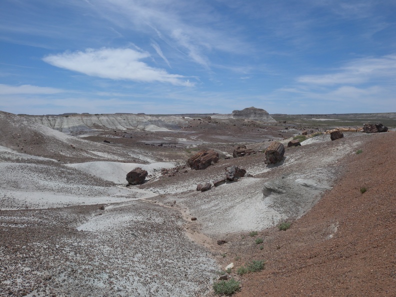 Petrified Forest & Painted Desert