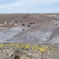 Petrified Forest & Painted Desert