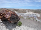 Petrified Forest