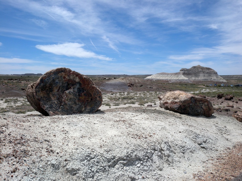 Petrified Forest