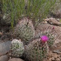 Airport Loop Hike