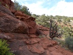 Airport Loop Hike