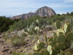 Airport Loop Hike