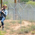 Zip-Lining over Tigers