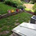 The Grassy Ramp