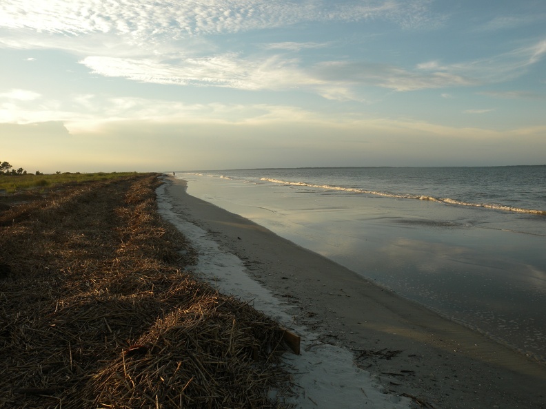 Hilton Head - Ft. Walker