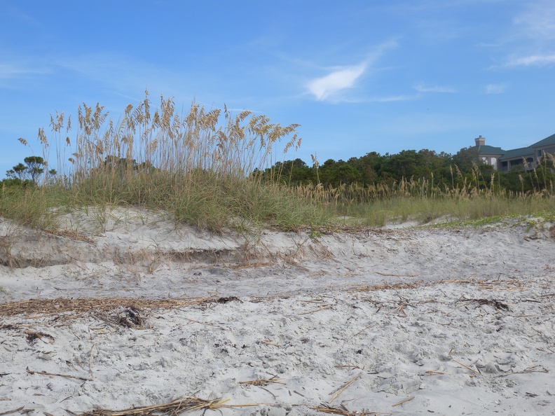 On the Beach in Hilton Head