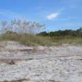 On the Beach in Hilton Head