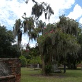 Savannah