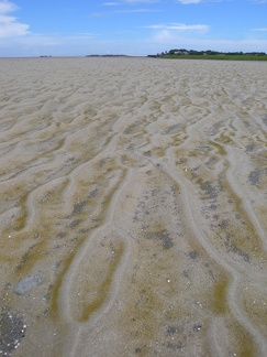 Mitchelville Beach