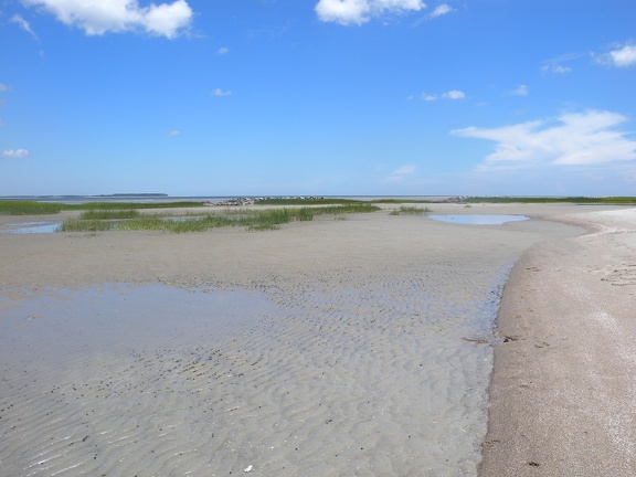 Mitchelville Beach