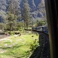 Peru Rail