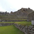 Temples over Terraces