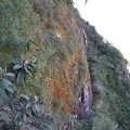 Cliffside