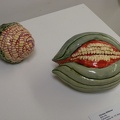 Winner: Best in Show (Ceramics)