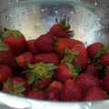 What would one possibly do with a pile of strawberries?