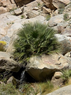 Water from rock