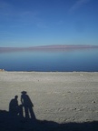 Watching the Salton Sea