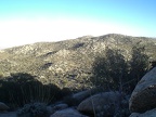 Looking Out