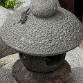 Stone Lizard