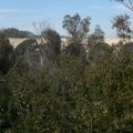 El Prado (bridge)