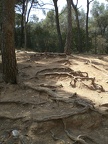 Parc Guell